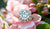 Embrace Elegance: The Dazzling Moissanite Floral Ring That Captivates Hearts
