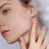 Elegant Moissanite Stud Earrings - Rokshok