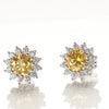 Coloured Moissanite Stud Earrings - Rokshok