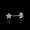 Star Moissanite Diamond Stud Earrings - Rokshok