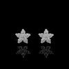 Star Moissanite Diamond Stud Earrings - Rokshok