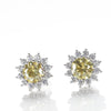 Coloured Moissanite Stud Earrings - Rokshok